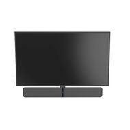 Frame voor Bluesound Pulse Soundbar 2i